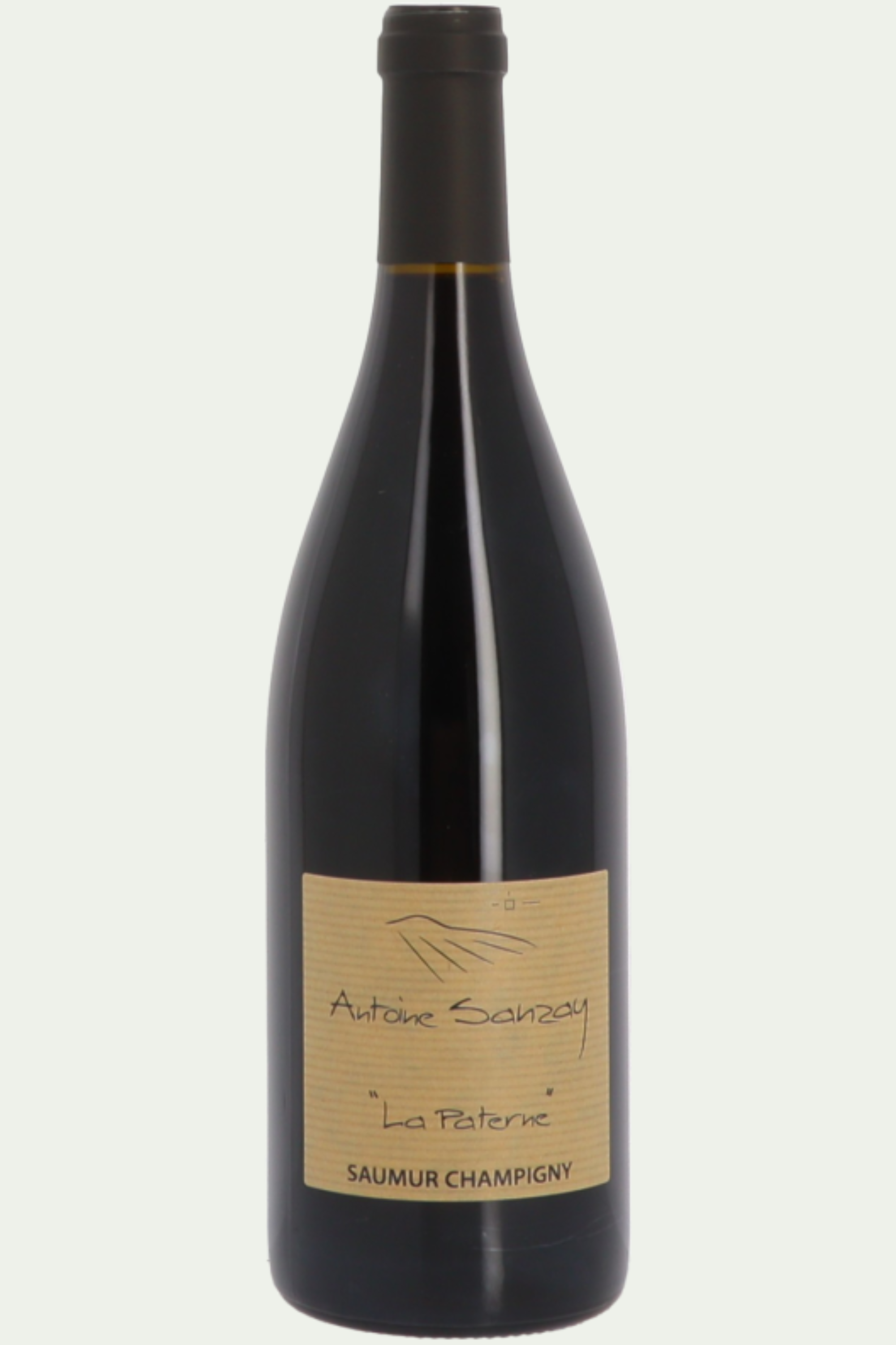 Antoine Sanzay - Saumur Champigny - La Paterne - 2022